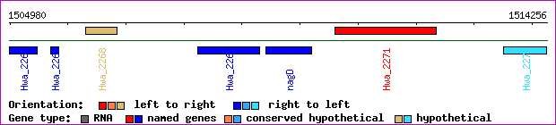 gene map