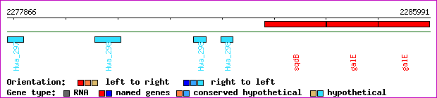 gene map