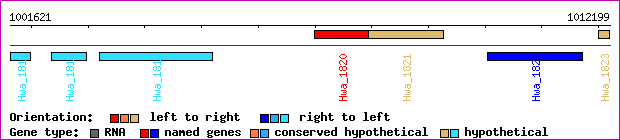 gene map