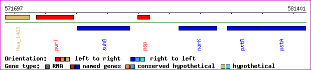 gene map