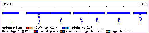 gene map