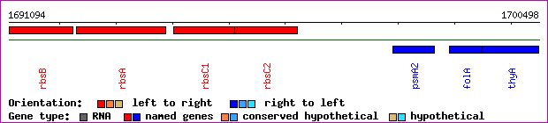 gene map