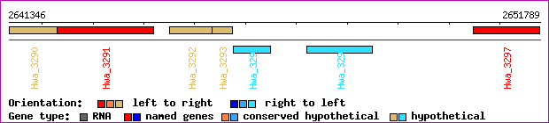 gene map