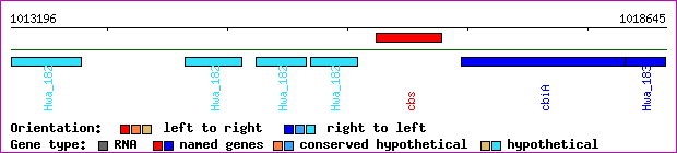 gene map