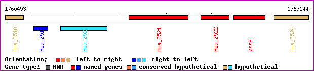 gene map