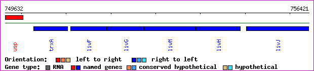 gene map