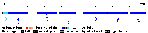 gene map