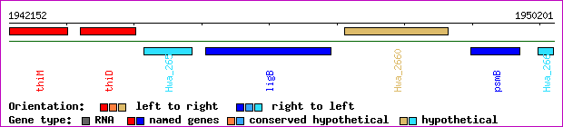 gene map