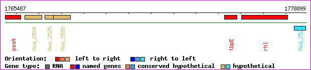 gene map