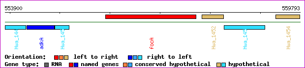 gene map