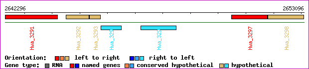 gene map