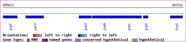gene map