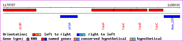gene map
