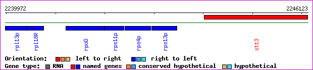 gene map