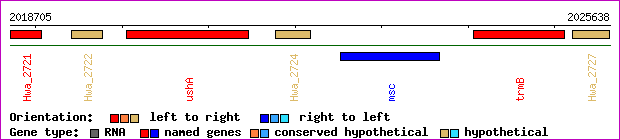 gene map