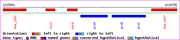 gene map