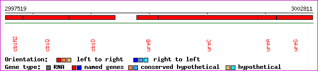gene map