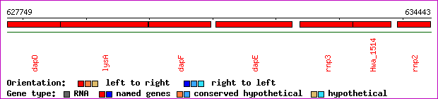 gene map