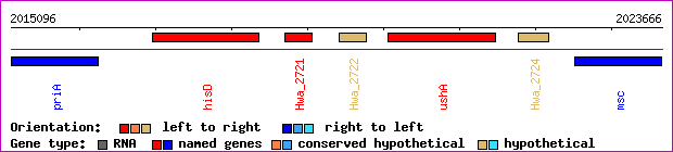 gene map