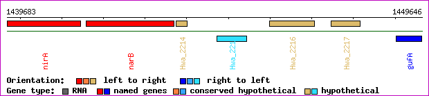 gene map