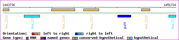 gene map