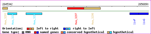 gene map