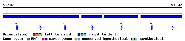 gene map