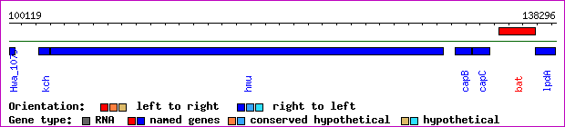 gene map
