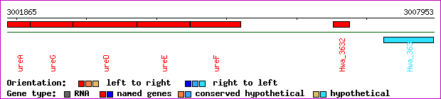 gene map