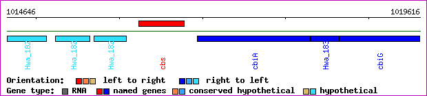 gene map