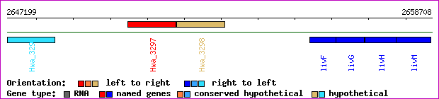 gene map