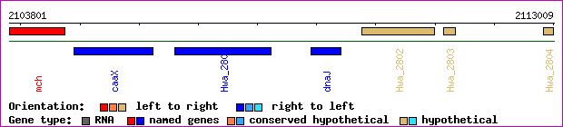gene map
