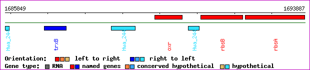 gene map