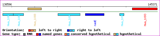 gene map