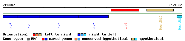 gene map