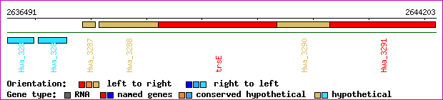 gene map