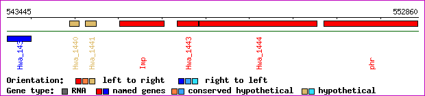 gene map