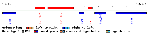 gene map
