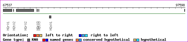 gene map