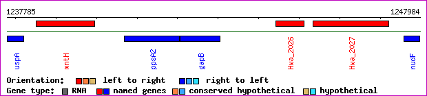 gene map