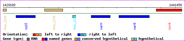 gene map