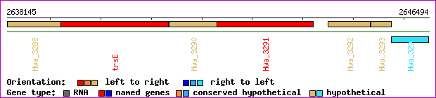 gene map