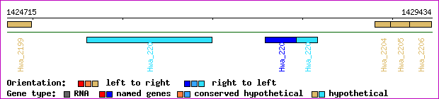 gene map