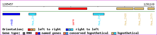 gene map