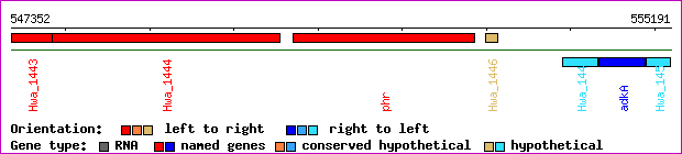 gene map