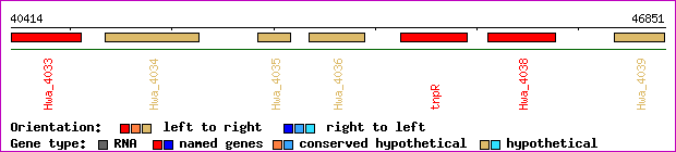gene map