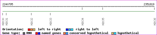 gene map