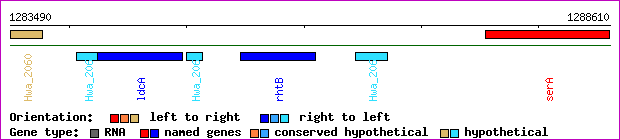 gene map
