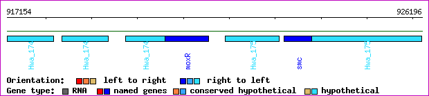 gene map