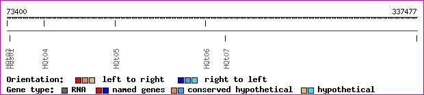 gene map